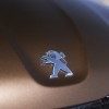 Photo sigle lion Peugeot 301 I Brun Rich Oak (2012)