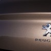 Photo emblème du Lion Peugeot 301 I Brun Rich Oak (2012)